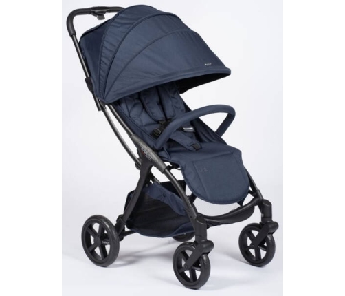 Mast M2x Blueberry Pastaigu rati