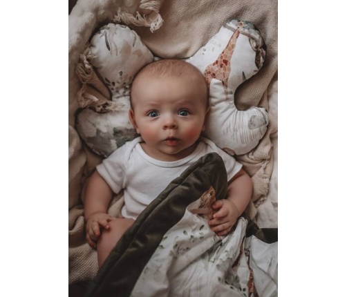 Makaszka Poduszka Motylek Dream Garden