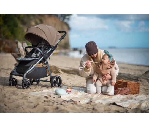 Espiro Wave 317 Gray Melody Прогулочная коляска