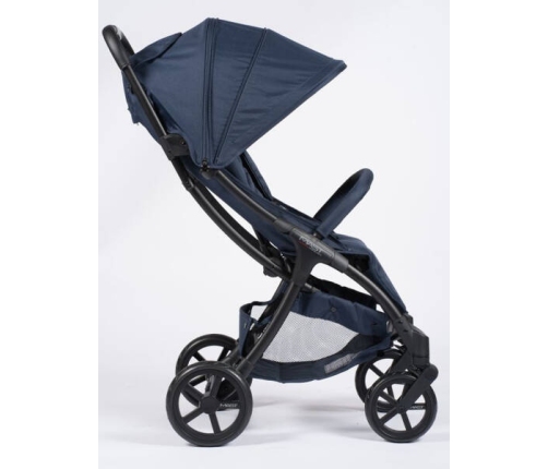 Mast M2x Blueberry Pastaigu rati