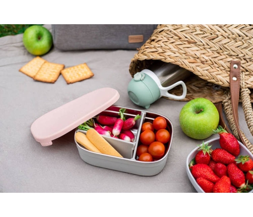 Beaba Lunchbox Ze Stali Nierdzewnej z Pokrywką i Osłoną Powder Pink