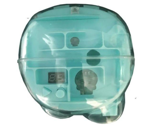 Dumel  Wyścig z Czasem Gra Zręcznościowa