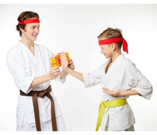 Dumel Discovery Gra Łam Deskę