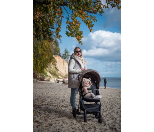Espiro Wave 317 Gray Melody Прогулочная коляска