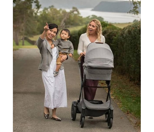 Nuna Demi Grow Gondola Caviar