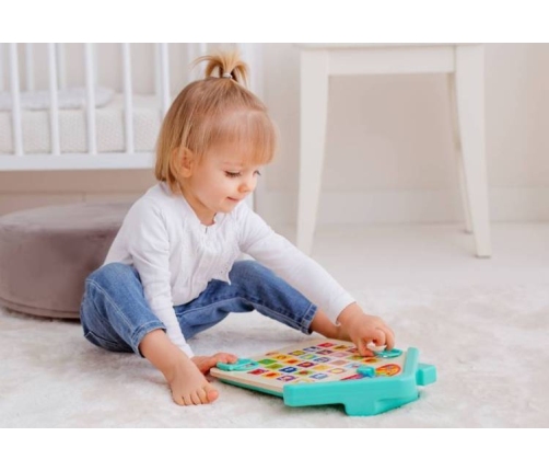 Dumel Obrazkowe Abecadło Nauka Literek Dzwięk 2+