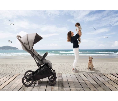 Inglesina Maior 2023 Polar Blue Pastaigu rati