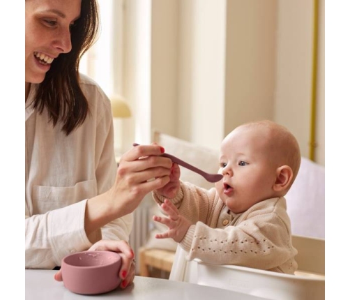 Everyday Baby Miseczka Silikonowa Bez Przyssawki 2 Szt. Ceglany
