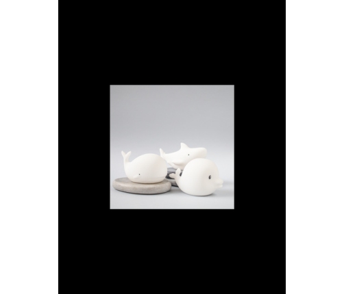 Rabbit&Friends Zestaw Mini Morskie Lampek Silikonowych 3szt. Delfin Wieloryb Rekin Białe
