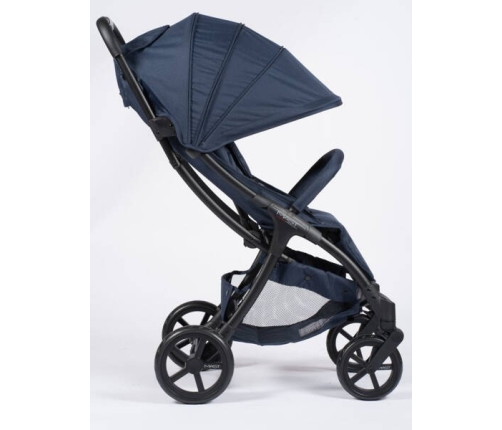 Mast M2x Blueberry Pastaigu rati