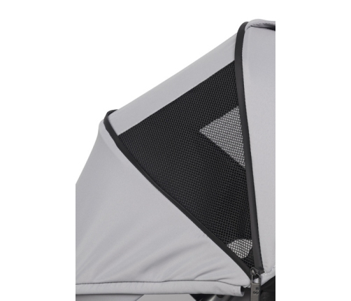 EasyGo Echo Cloudy Gray Dvīņu rati