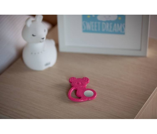 Chicco Gryzak ze Stalą Nierdzewną Koala 4m+ Girl