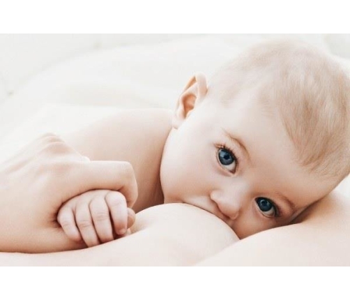 Chicco Natural Feeling  Laktator Manualny + Wkładki Laktacyjne 60 szt.