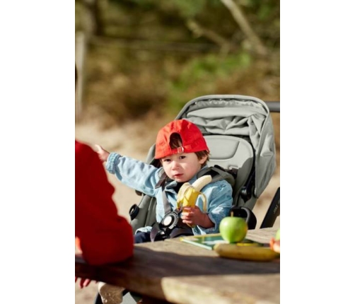 Joolz Geo 3 Woodland Green Bērnu rati 2in1