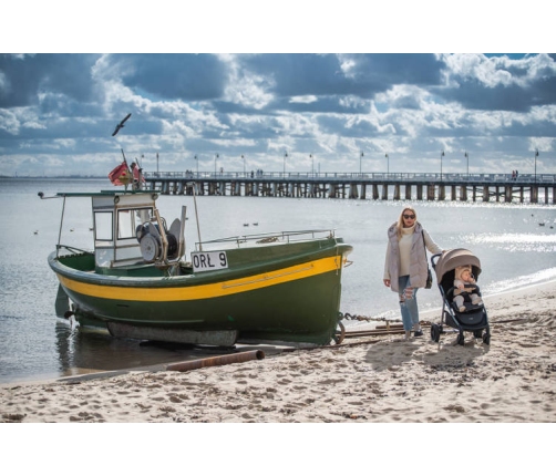 Espiro Wave 317 Gray Melody Прогулочная коляска