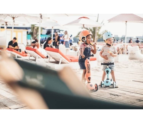 Scootandride Highwaykick 1 Jeździk i Hulajnoga 2w1 1-5 Lat Blueberry + Canpol Babies Termoopakowanie