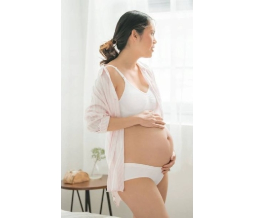 Medela Majtki Ciążowe M/L 2szt Biały