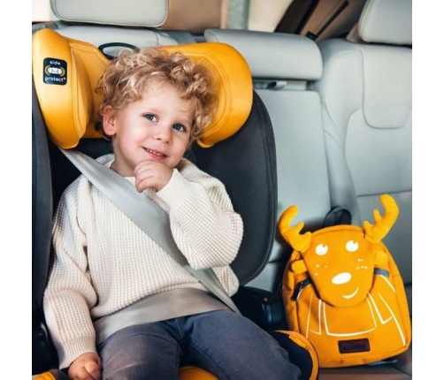 Skiddou Taby Fotelik Samochodowy 15-36 kg Nomadic Dream