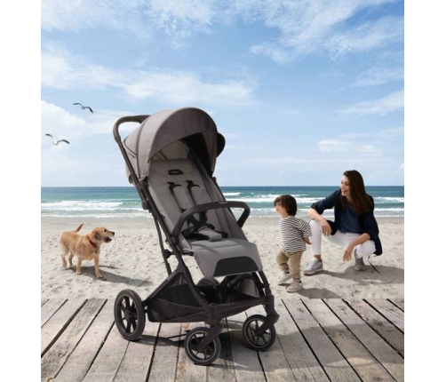 Inglesina Maior 2023 Polar Blue Pastaigu rati