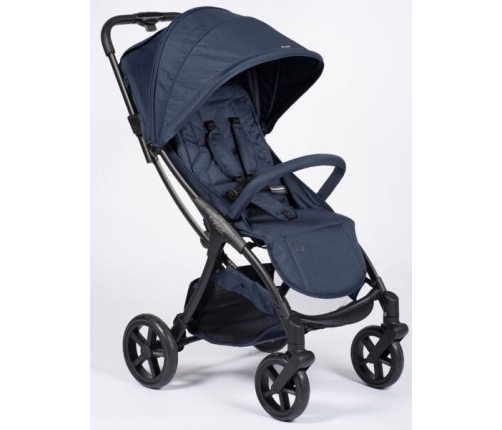 Mast M2x Blueberry Pastaigu rati