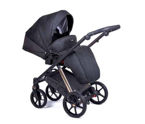 Coletto Axiss Gold AX-06 Bērnu rati 2in1