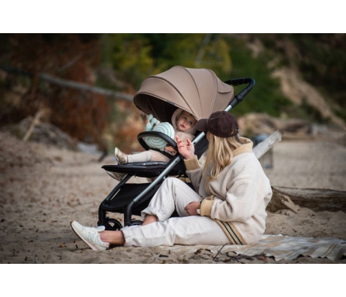 Espiro Wave 317 Gray Melody Прогулочная коляска