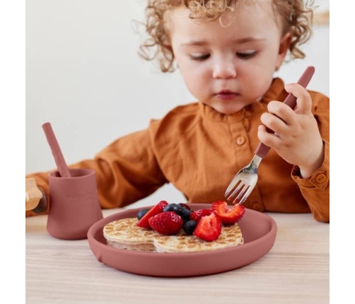 Everyday Baby Talerzyk Silikonowy Bez Przyssawki Ceglany