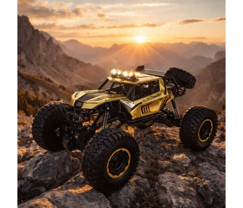 RC auto Rock Crawler 2.4GHz 1:8 51cm zelts