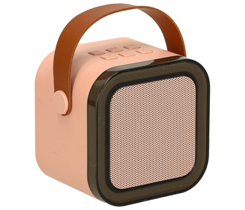 Karaoke komplekts 2 mikrofoni + portatīvais skaļrunis BLUETOOTH USB LED rozā krāsā