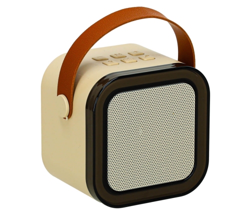 Karaoke komplekts 2 mikrofoni + portatīvais skaļrunis BLUETOOTH USB LED bēšs