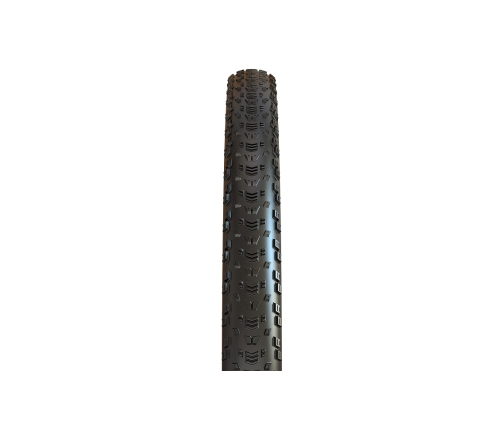 Велосипедная шина Maxxis 29 x 2.25 Aspen TR