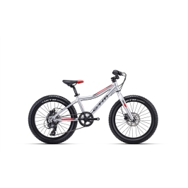 Velosipēds CTM Jerry 3.0 Kids 20"