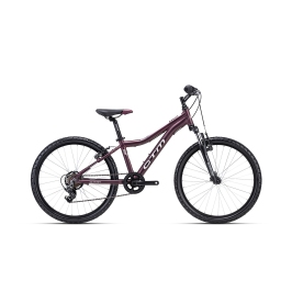 Velosipēds CTM Rocky 2.0 Kids 24"