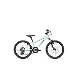 Velosipēds CTM Jerry 2.0 20"
