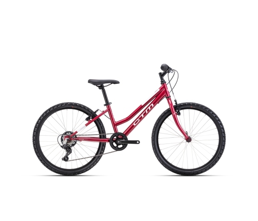 Velosipēds CTM Mony 24