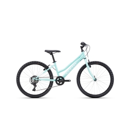 Velosipēds CTM Mony 24"