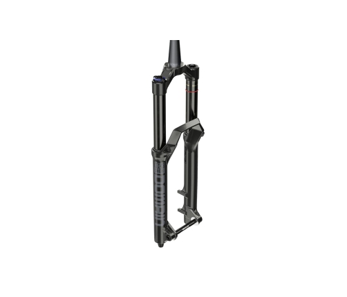 Вилка RockShox Domain RC Debonair 29"