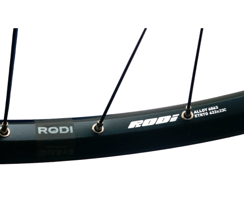 Колесо заднее 29" Rodi Blackrock 23 QR 6-Bolt FH