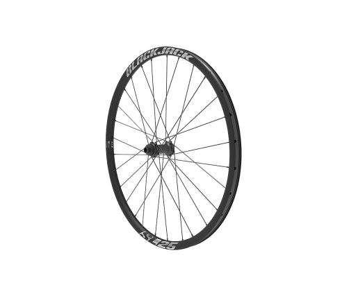 Aizmugurējais ritenis 700C BlackJack SL 25 ASY 12x142 Center Lock SB FH