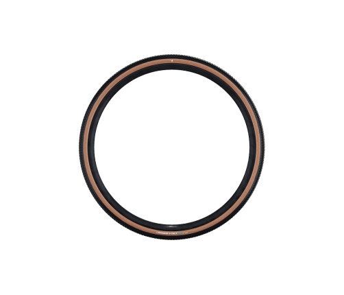 Велосипедная шина Schwalbe 700 x 50C G-One R Pro