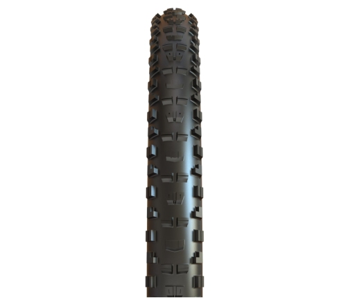 Велосипедная шина Maxxis 29 x 2.40 WT Minion DHR II TR