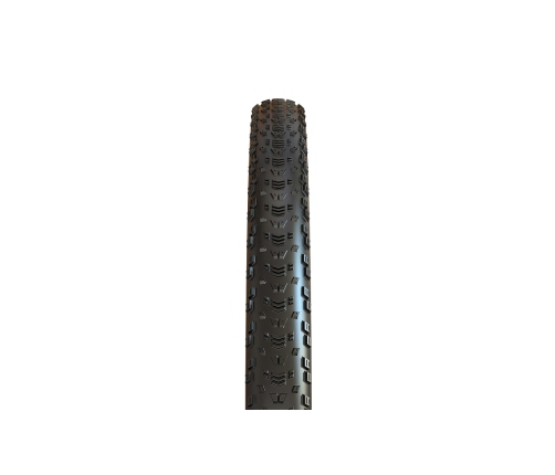 Велосипедная шина Maxxis 29 x 2.40 WT Aspen TR