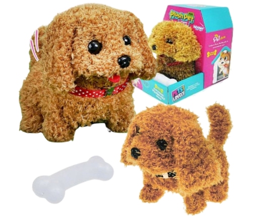 WOOPIE Piesek Interaktywny Pluszak z Kością Pudel Husky