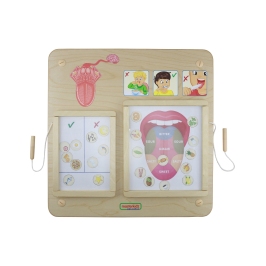 MASTERKIDZ Tablica Edukacyjna Zmysł Wzroku Montessori MASTERKIDZ Tablica Edukacyjna Zmysł Wzroku Montessori