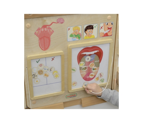 MASTERKIDZ Tablica Edukacyjna Zmysł Wzroku Montessori