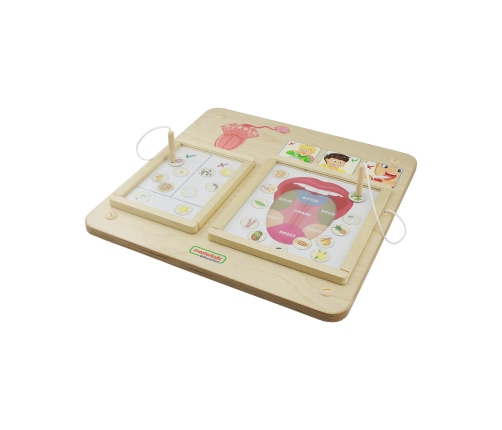 MASTERKIDZ Tablica Edukacyjna Zmysł Wzroku Montessori