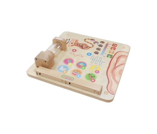 MASTERKIDZ Tablica Edukacyjna Zmysł Słuchu Montessori