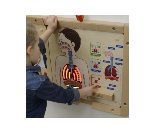 MASTERKIDZ Tablica Edukacyjna Układ Oddechowy Montessori