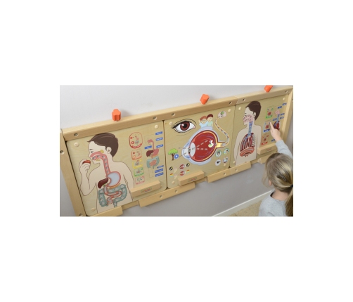 MASTERKIDZ Tablica Edukacyjna Układ Oddechowy Montessori