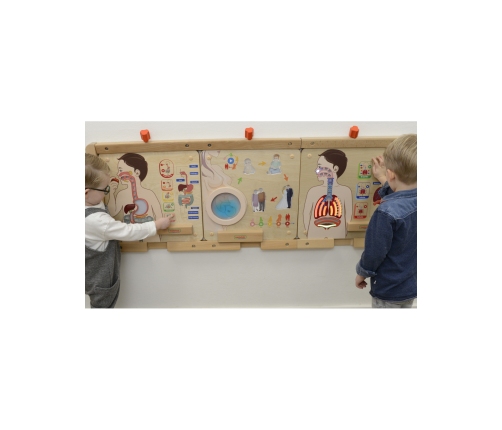 MASTERKIDZ Tablica Edukacyjna Układ Oddechowy Montessori